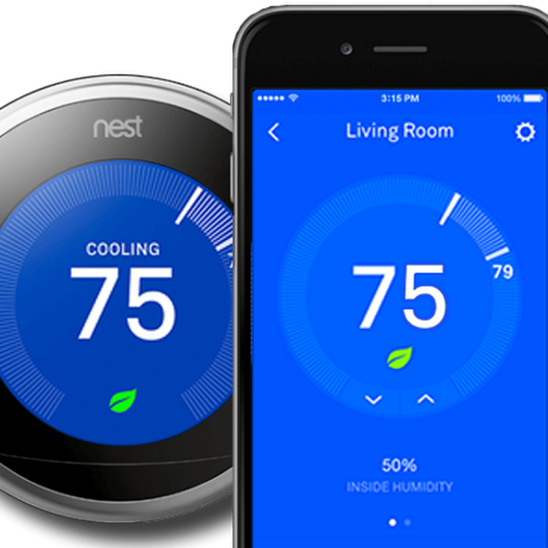 nest-with-phone(1)